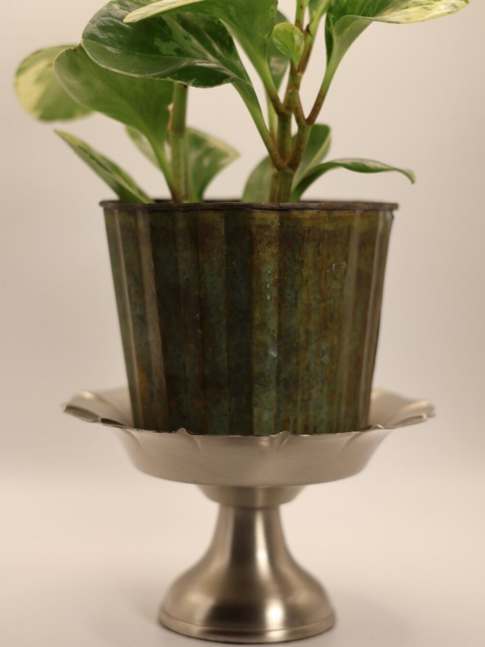 Vintage Pewter Pedestal Bowl Dish - Dark Academia Gothic Decor